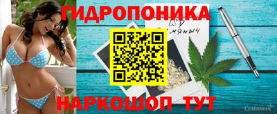 Альфа ПВП Азнакаево