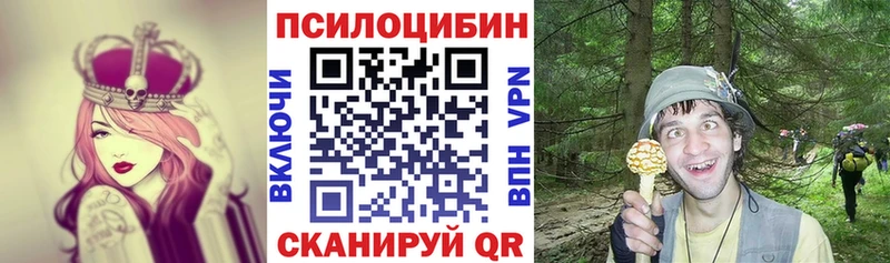 Псилоцибиновые грибы Psilocybine cubensis  Алушта 