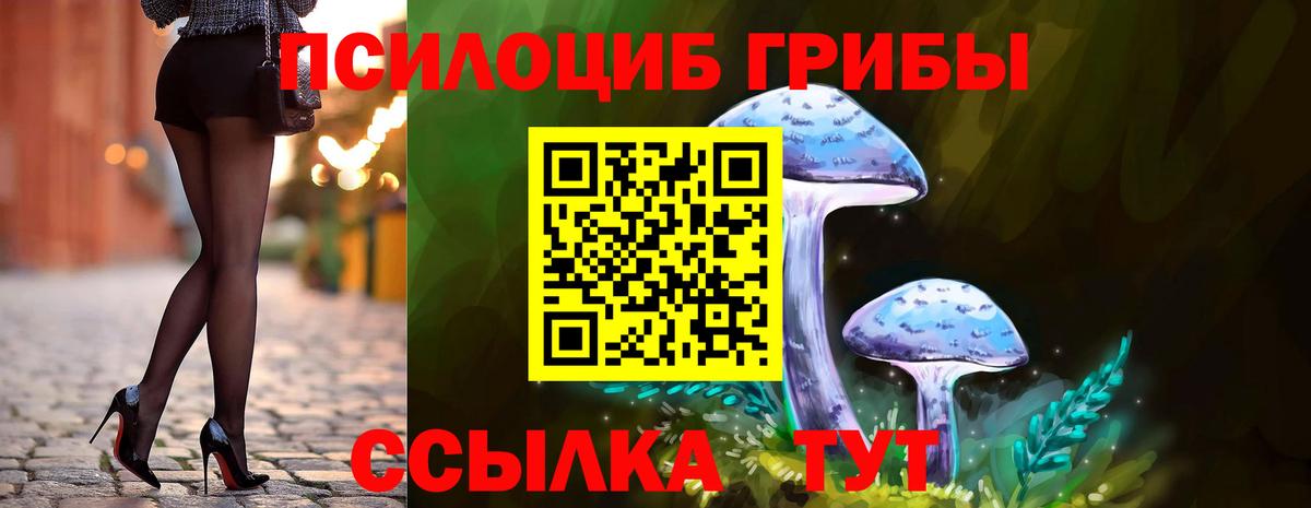Галлюциногенные грибы Psilocybe Алушта