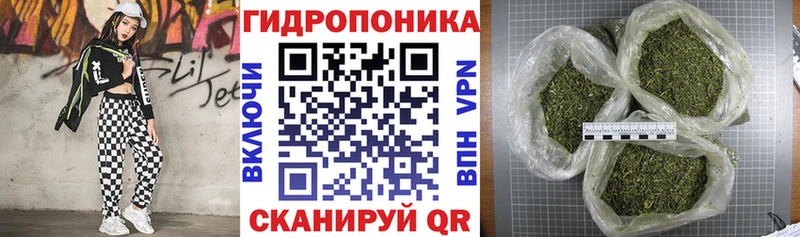 Канабис план  где найти   Алушта 
